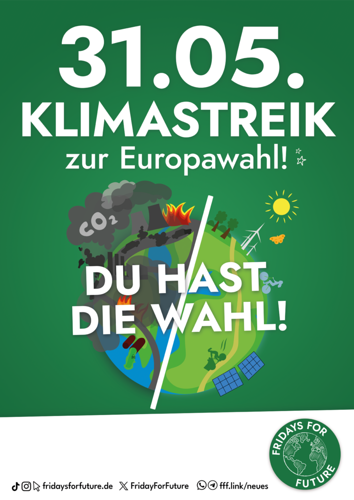 Klimastreik 31.05. / Bild: FFF